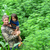 Troy_and_mong_in_the_hemp_72res_tiny_square