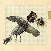 Bio_bird-a-web_card