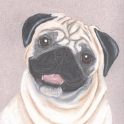 Pug6_card
