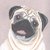 Pug6_tiny_square