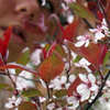 Observing_spring_thumb