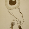 Ojo_thumb