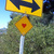 Love_is_all_around_tiny_square