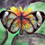 The__veiled__beauty_tiny_square