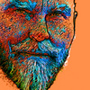 Vandyke_thumb