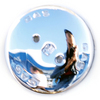 Autochep_copy_thumb