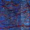 _dsc3181_thumb