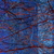 _dsc3181_tiny_square