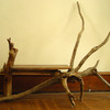 Secret_island_driftwood_table_a_thumb