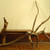 Secret_island_driftwood_table_a_tiny_square