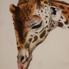 Giraffestudy_thumb
