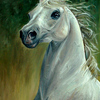 Dsc018c81_thumb