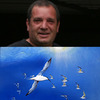 Martin_jones_and_sandwich_terns_thumb