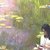 Monet_tiny_square