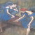 My_pic1_tiny_square