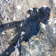 Picturee_030_card
