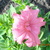 Dscn0371_tiny_square