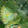 Nature_thumb