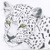 Leo_tiny_square