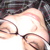 206_tiny_square