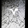Dscn0652_thumb