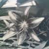 Flower_thumb