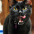 35660_1024_768_tiny_square