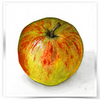 _ar_2010_thumb