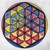 Img005_tiny_square