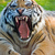 Roar_tiny_square