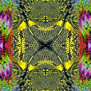 6t6t6yy201007141457595a_card