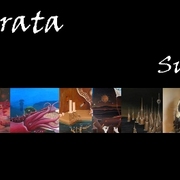 Publica__o1_card
