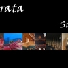 Publica__o1_thumb