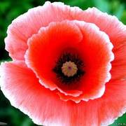 285027963_card