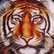 Tigris_card