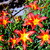 014_tiny_square