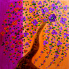 New_artwork_oct_1__2010_001pk_thumb