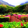 Rose_garden_thumb