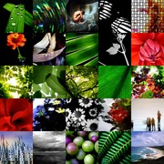 Collage13_card