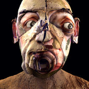 Head3_card