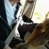 Twitter_pic_thumb
