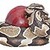 Snake_avatar_tiny_square