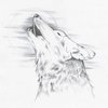 Scan0011_thumb