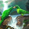 Birds_010_thumb