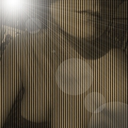 Carton_card