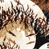 Piece_brown_thumb