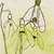 Snowdrops_tiny_square