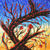 Tormenta_de_verano_small_tiny_square