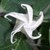 Julypix_002_tiny_square