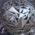 Old_dragon_main_tiny_square